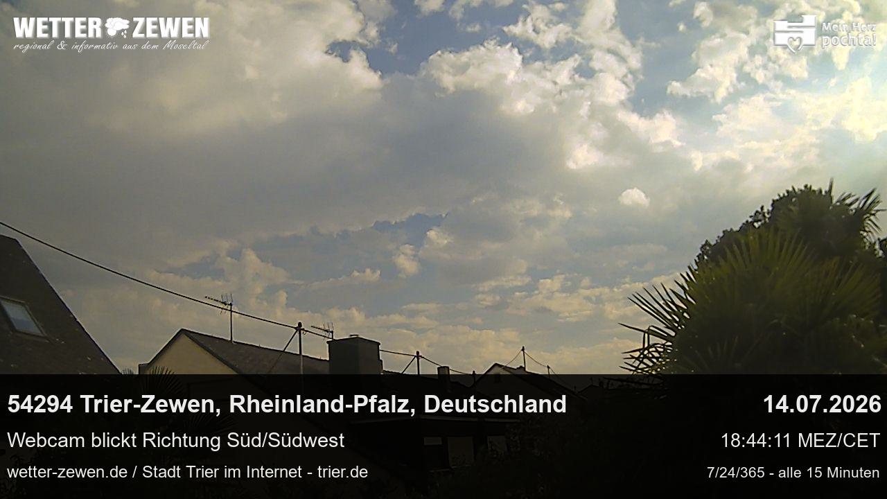 Bild