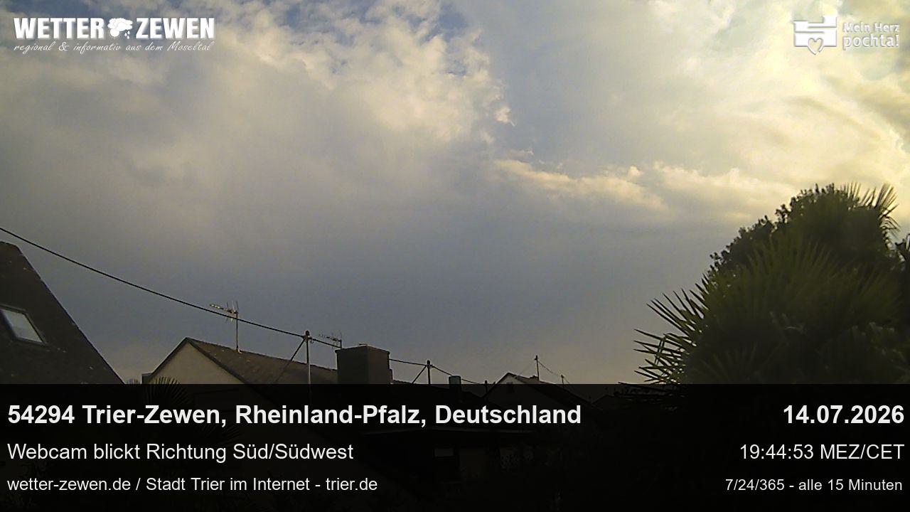 Bild