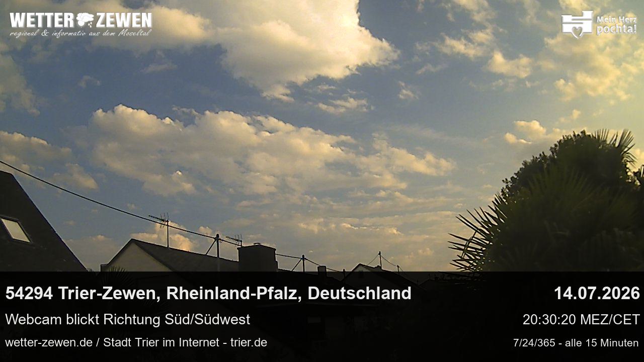 Bild