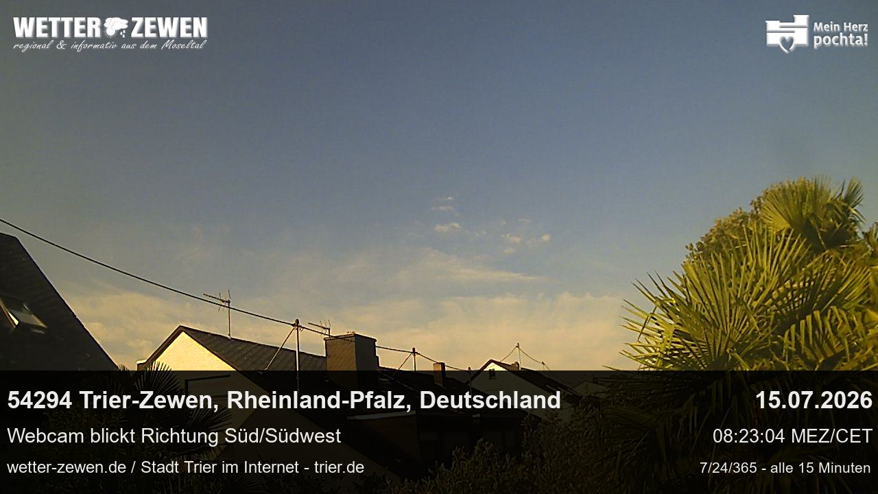 Bild