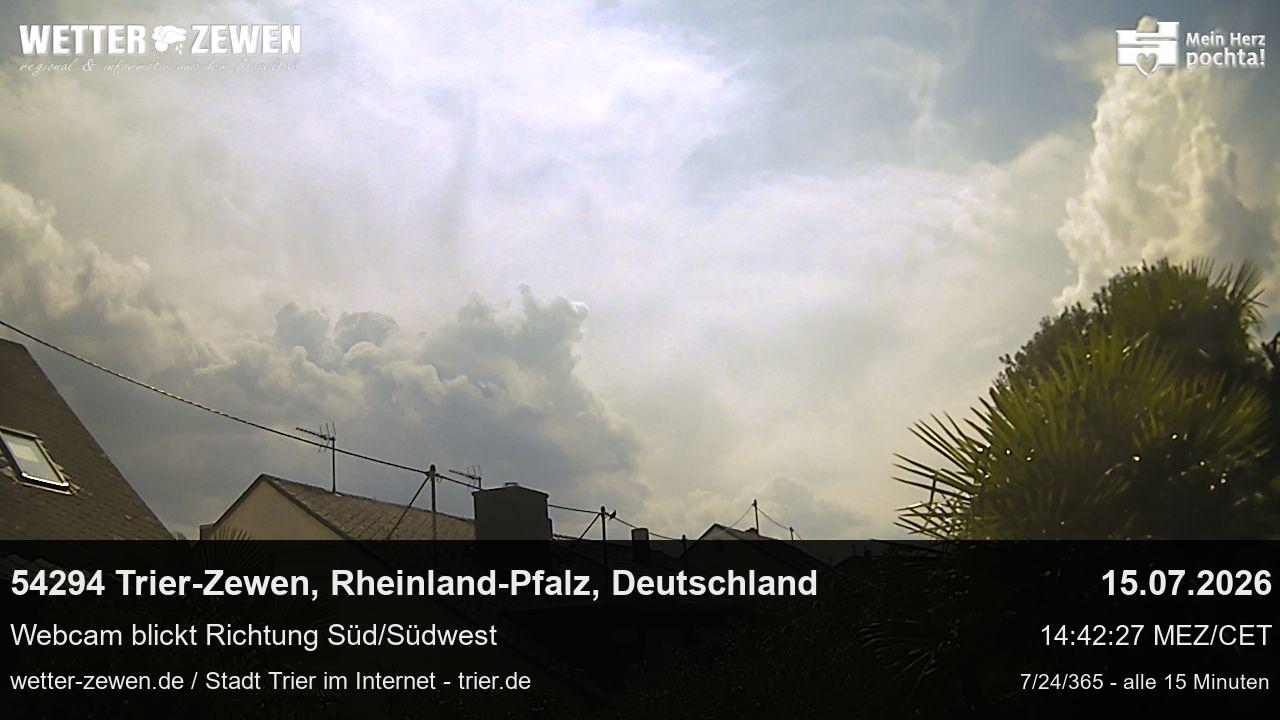 Bild