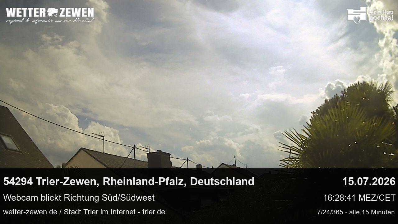 Bild