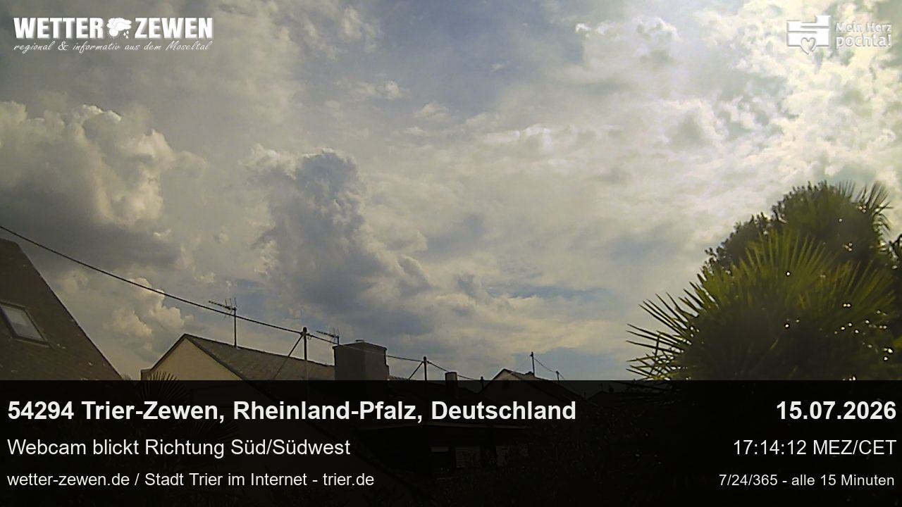 Bild