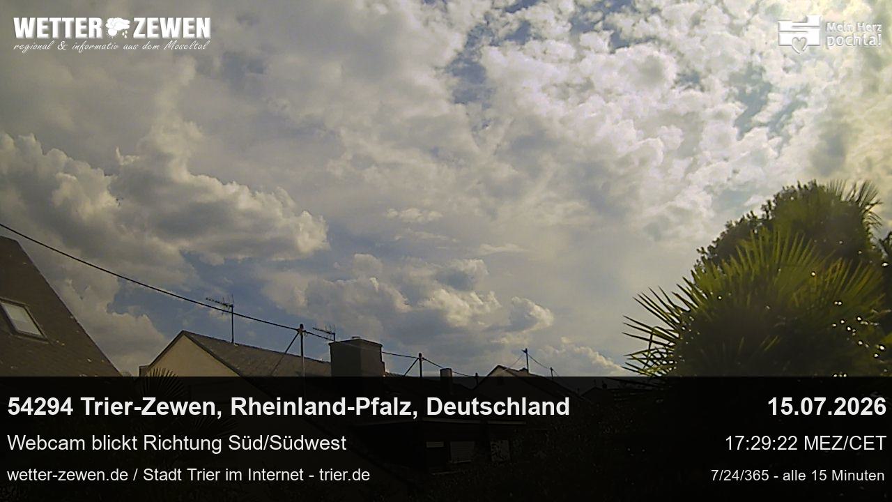 Bild