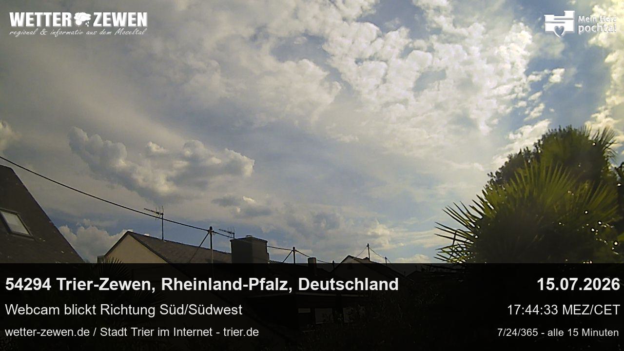 Bild