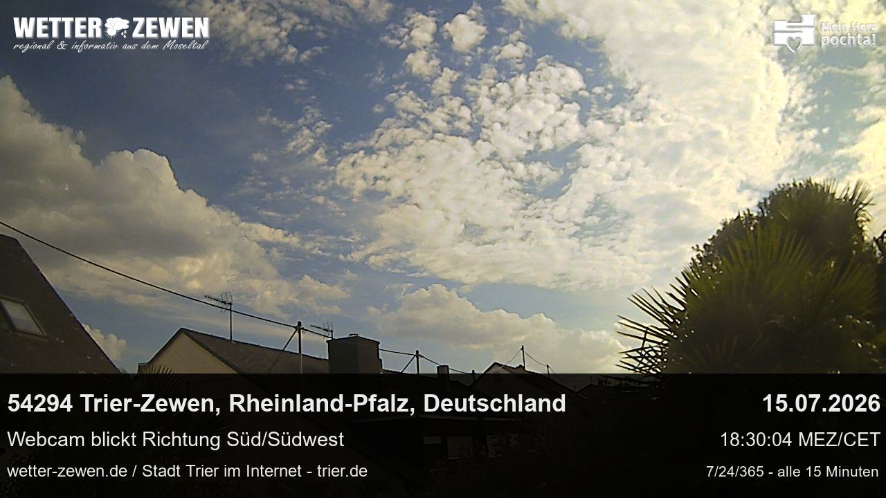 Bild