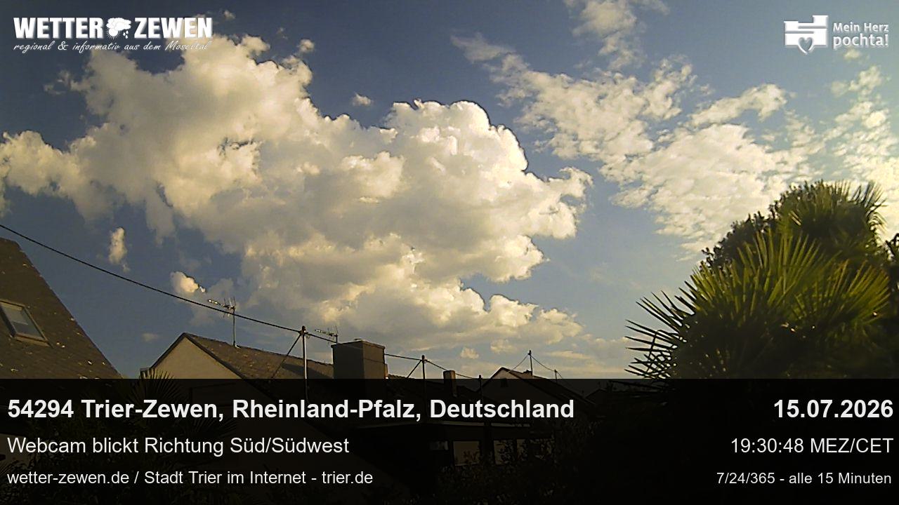 Bild