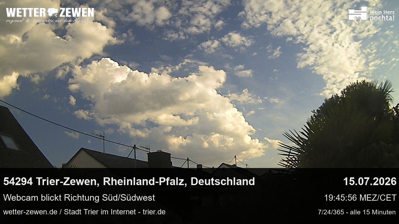 Bild