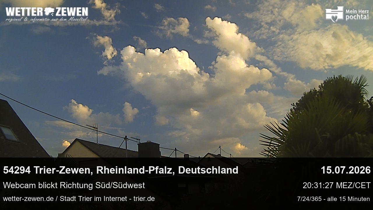 Bild