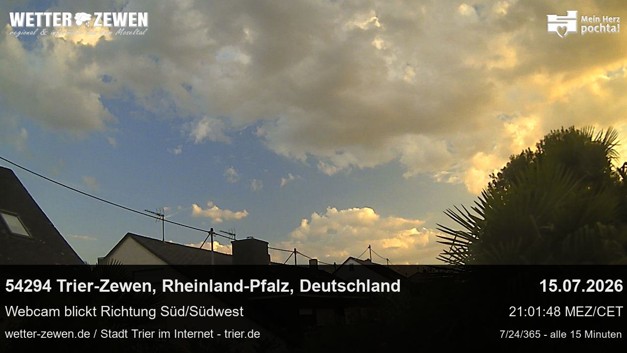 Bild