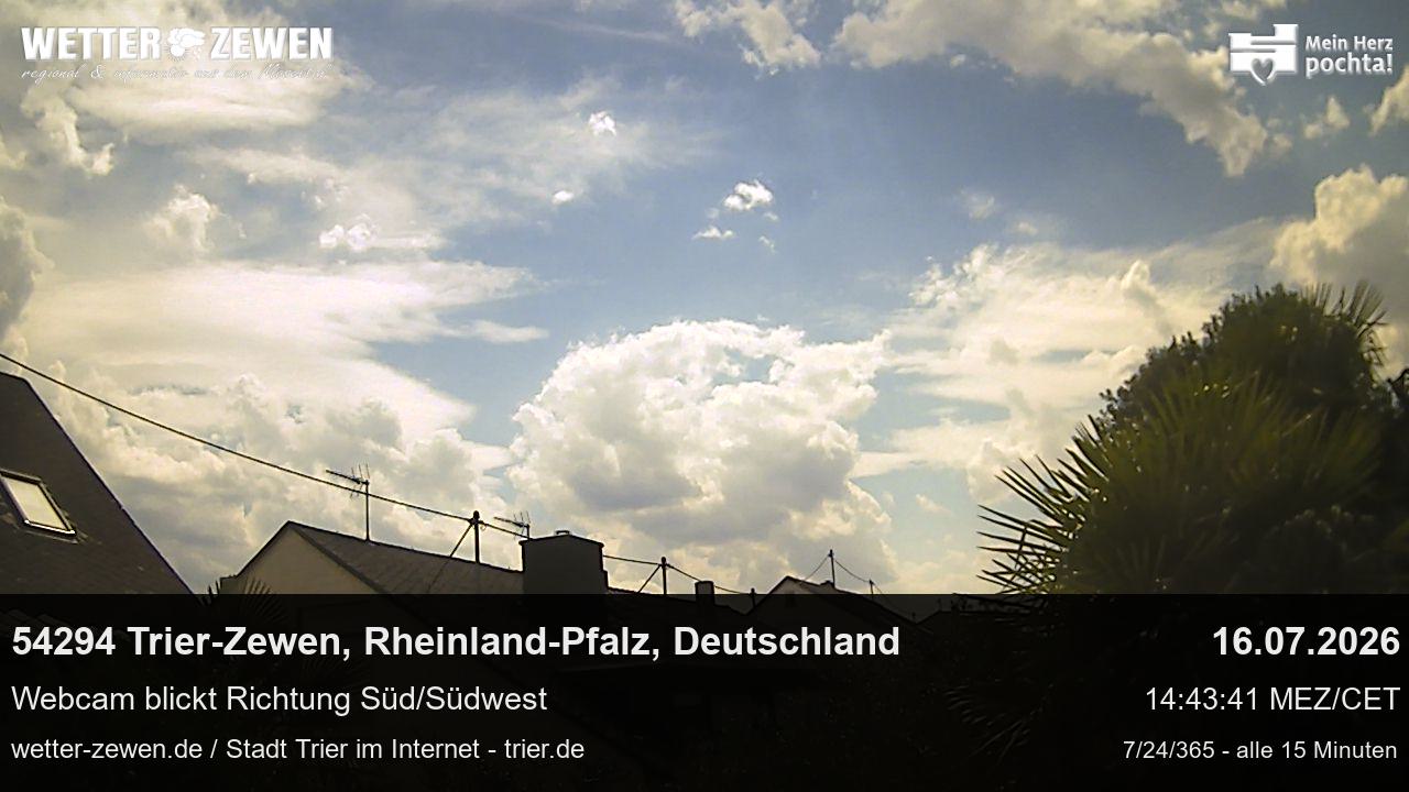 Bild