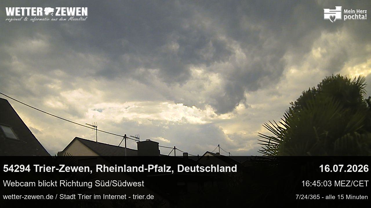 Bild