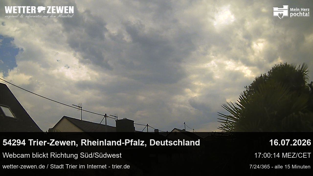 Bild