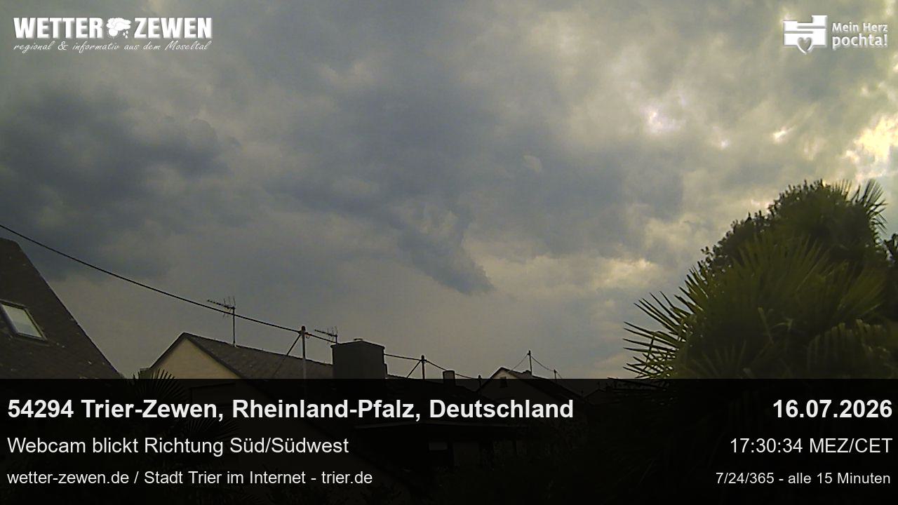 Bild