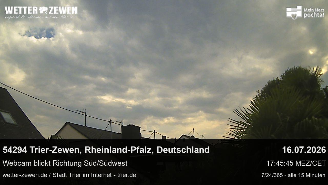 Bild