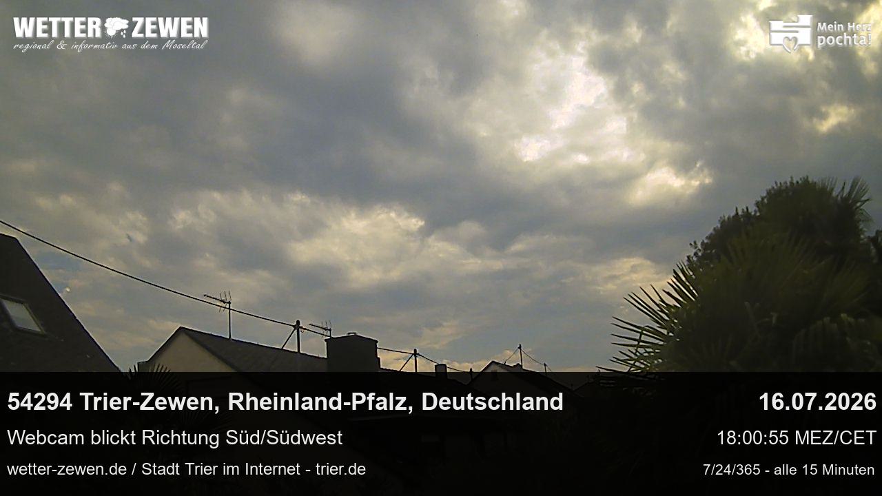 Bild