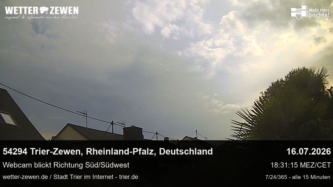 Bild