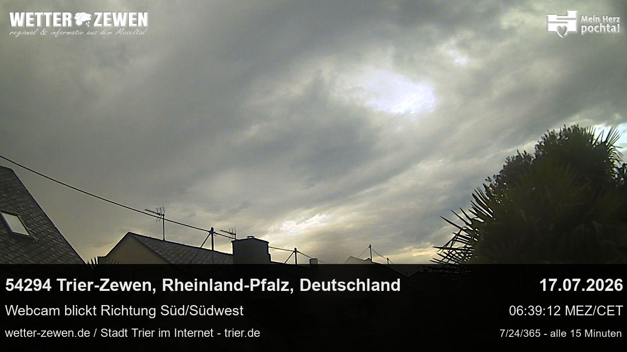 Bild