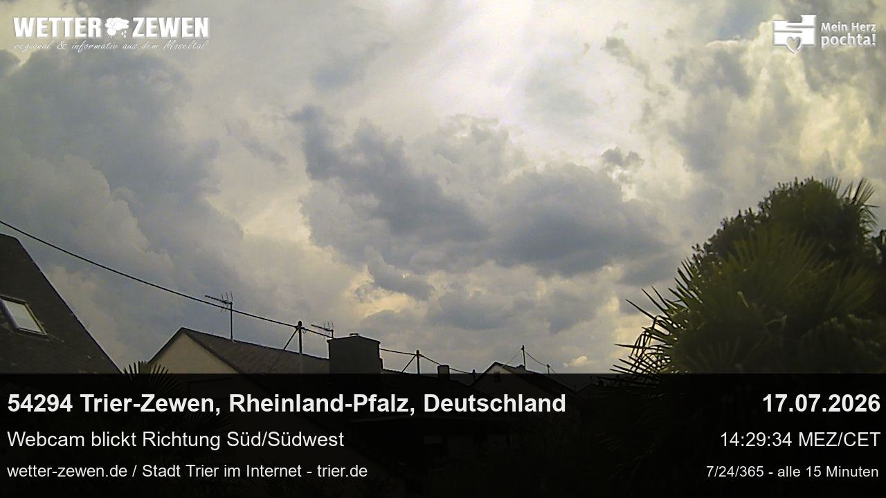 Bild