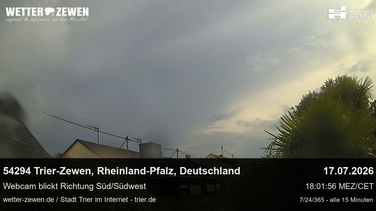 Bild