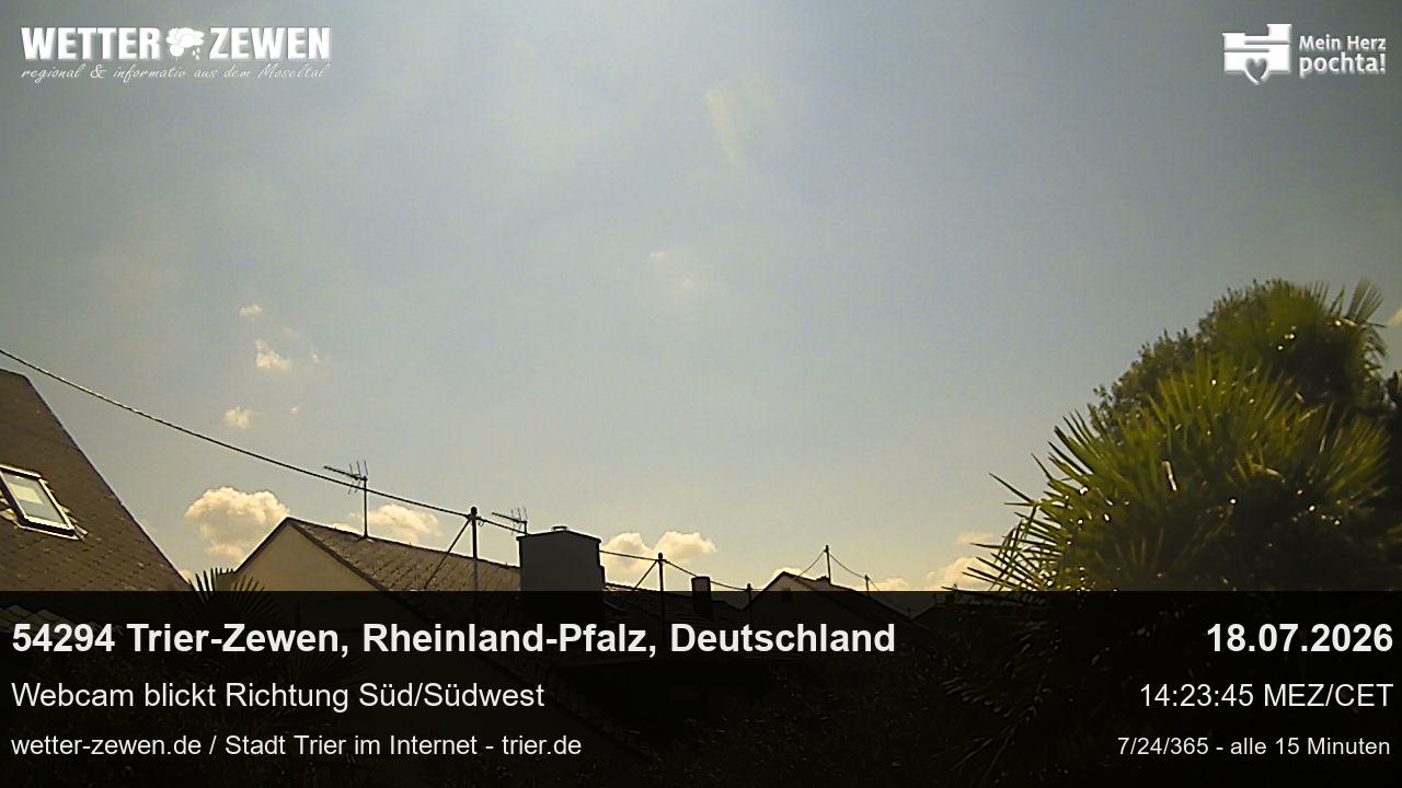 Bild