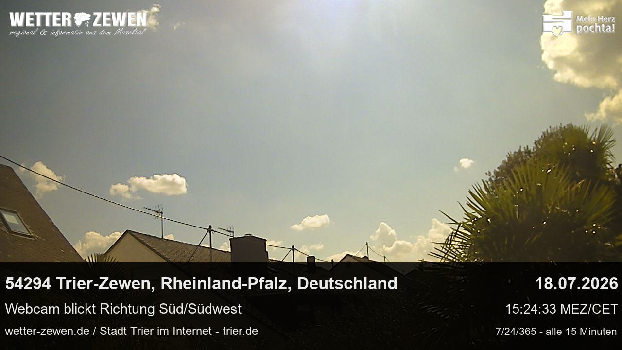 Bild
