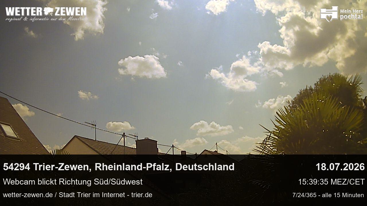 Bild