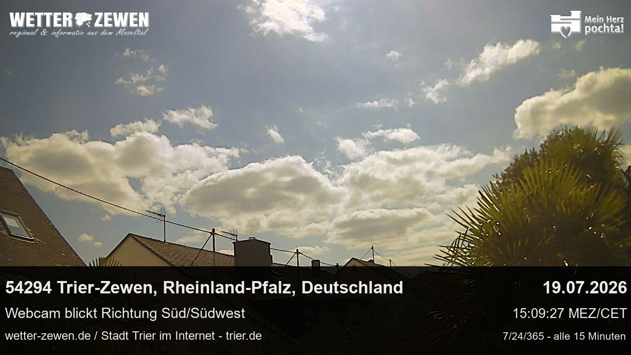Bild