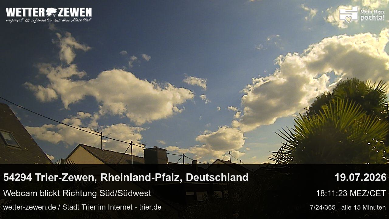 Bild