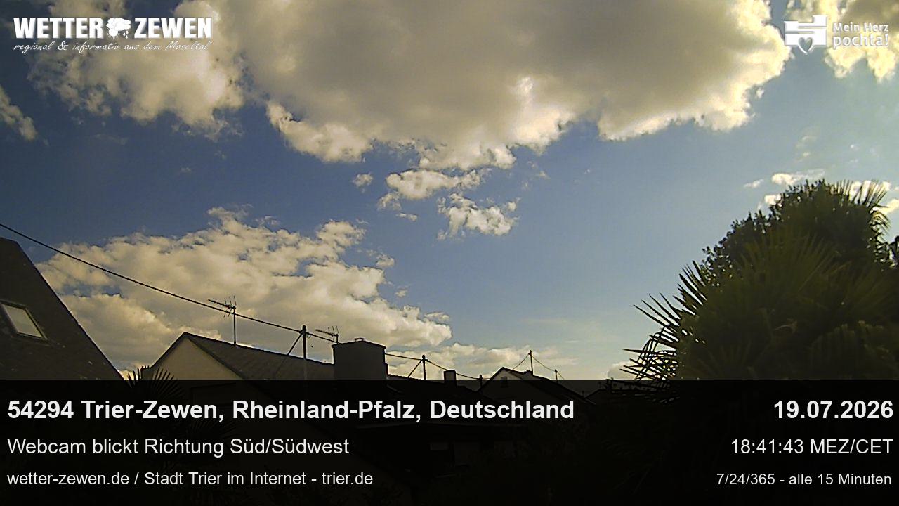 Bild