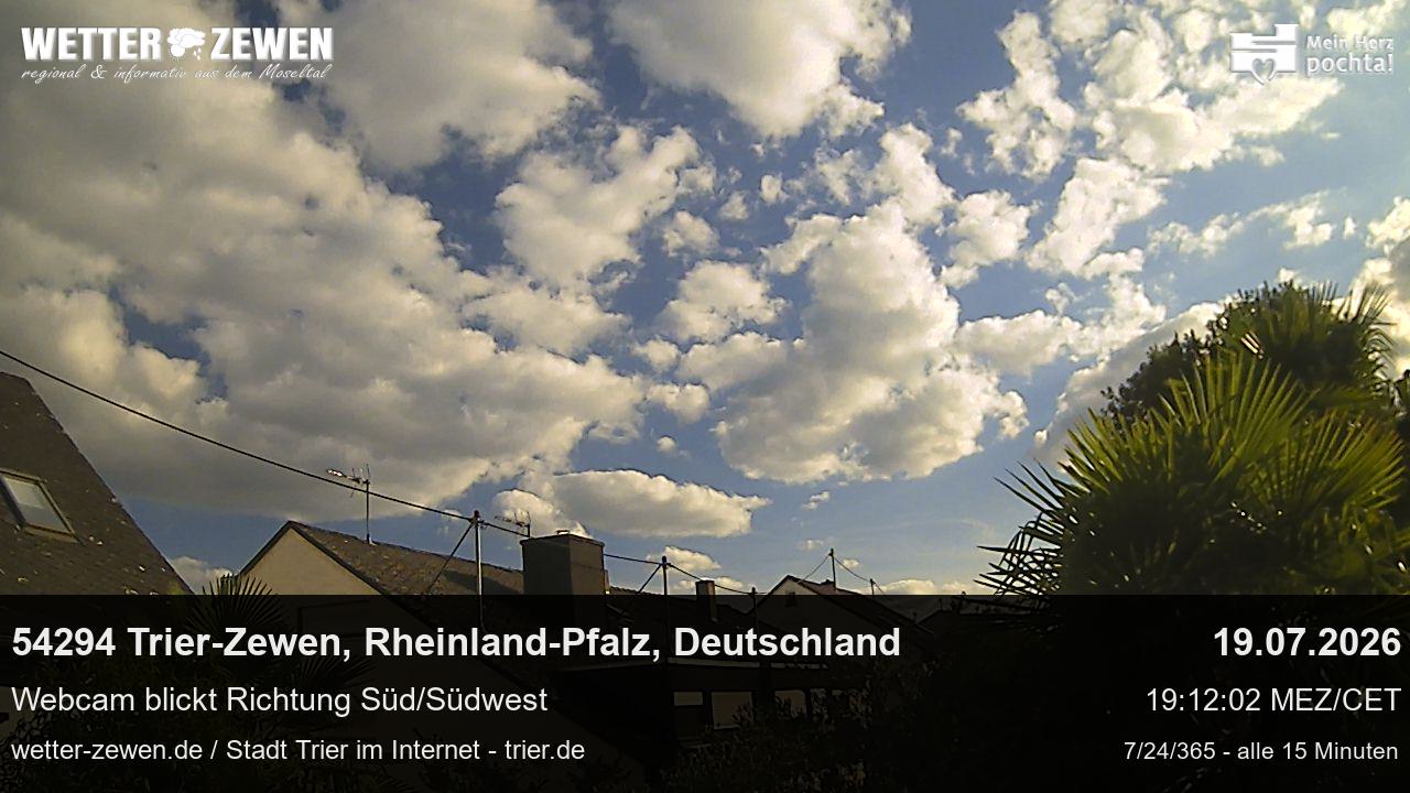 Bild