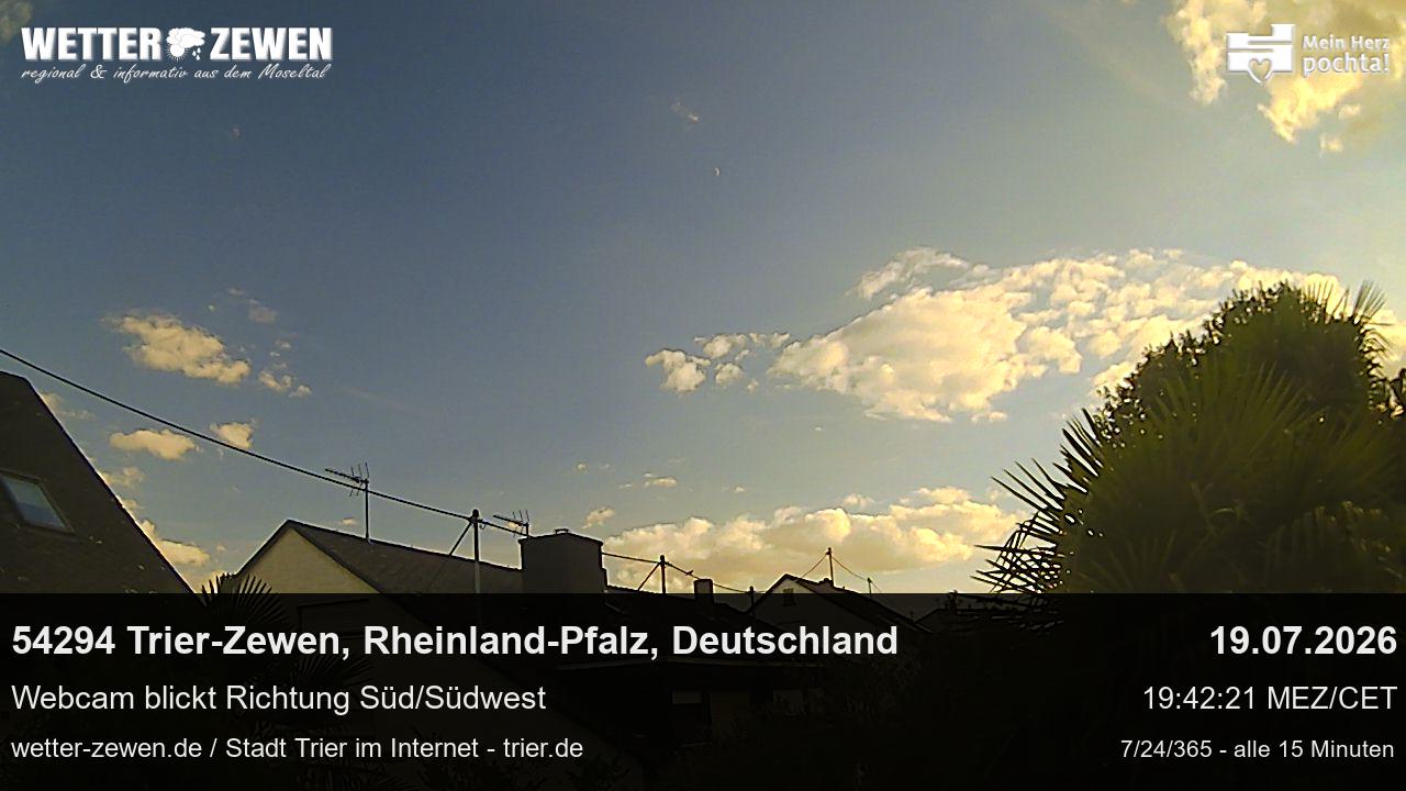 Bild