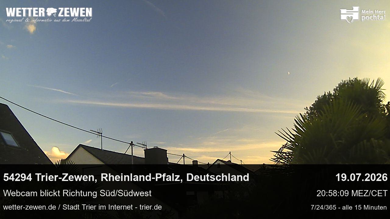 Bild