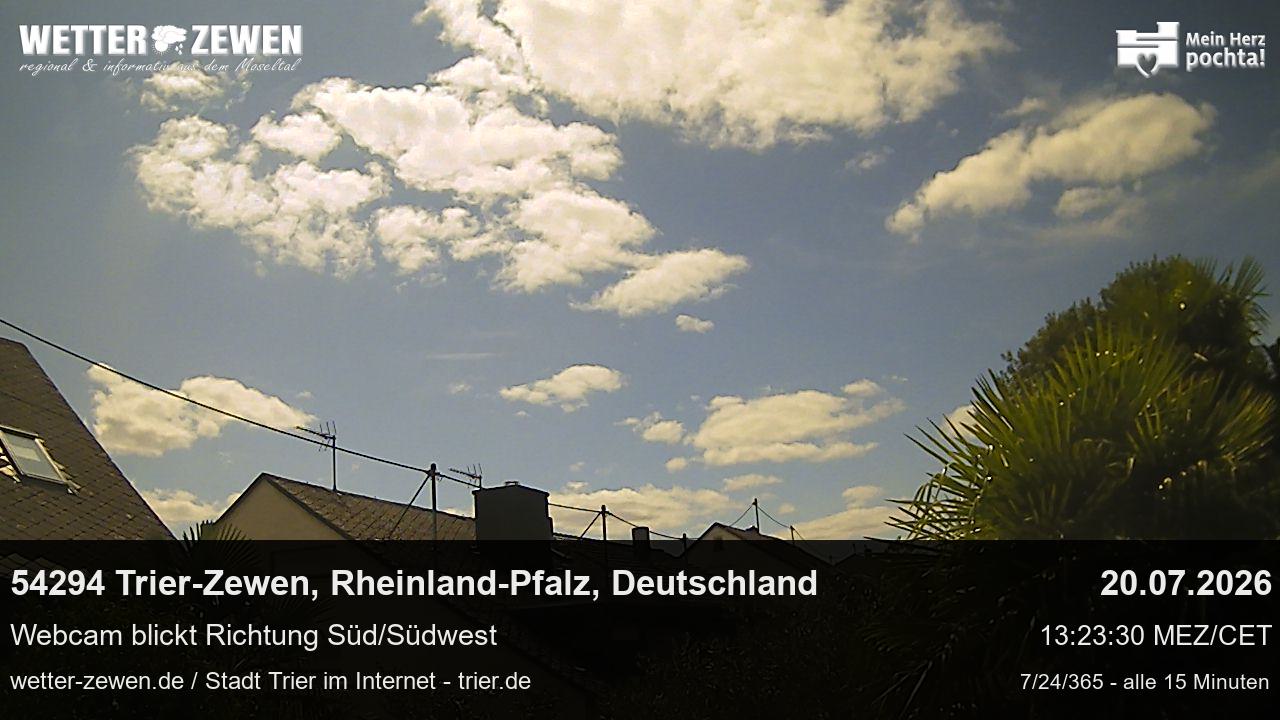 Bild