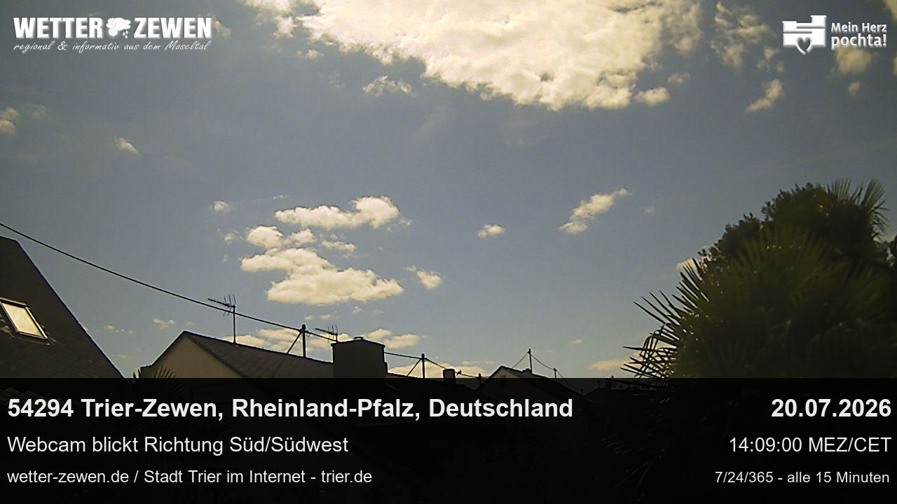 Bild