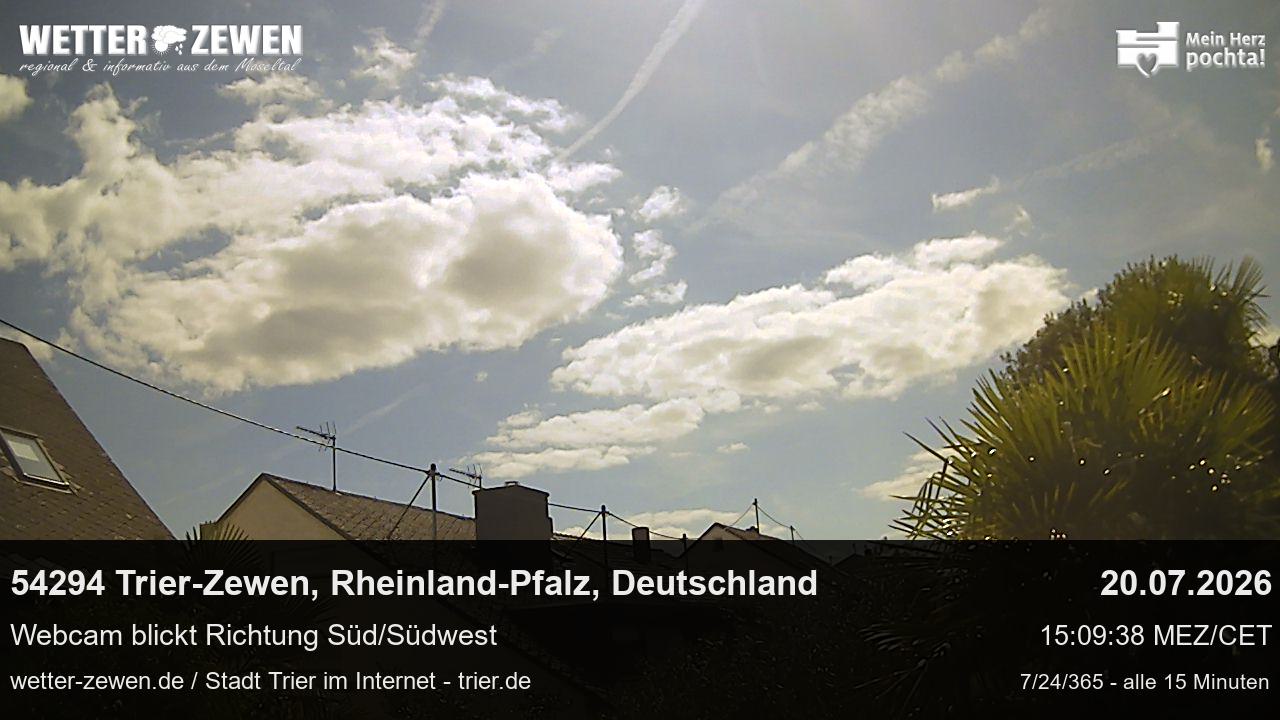 Bild