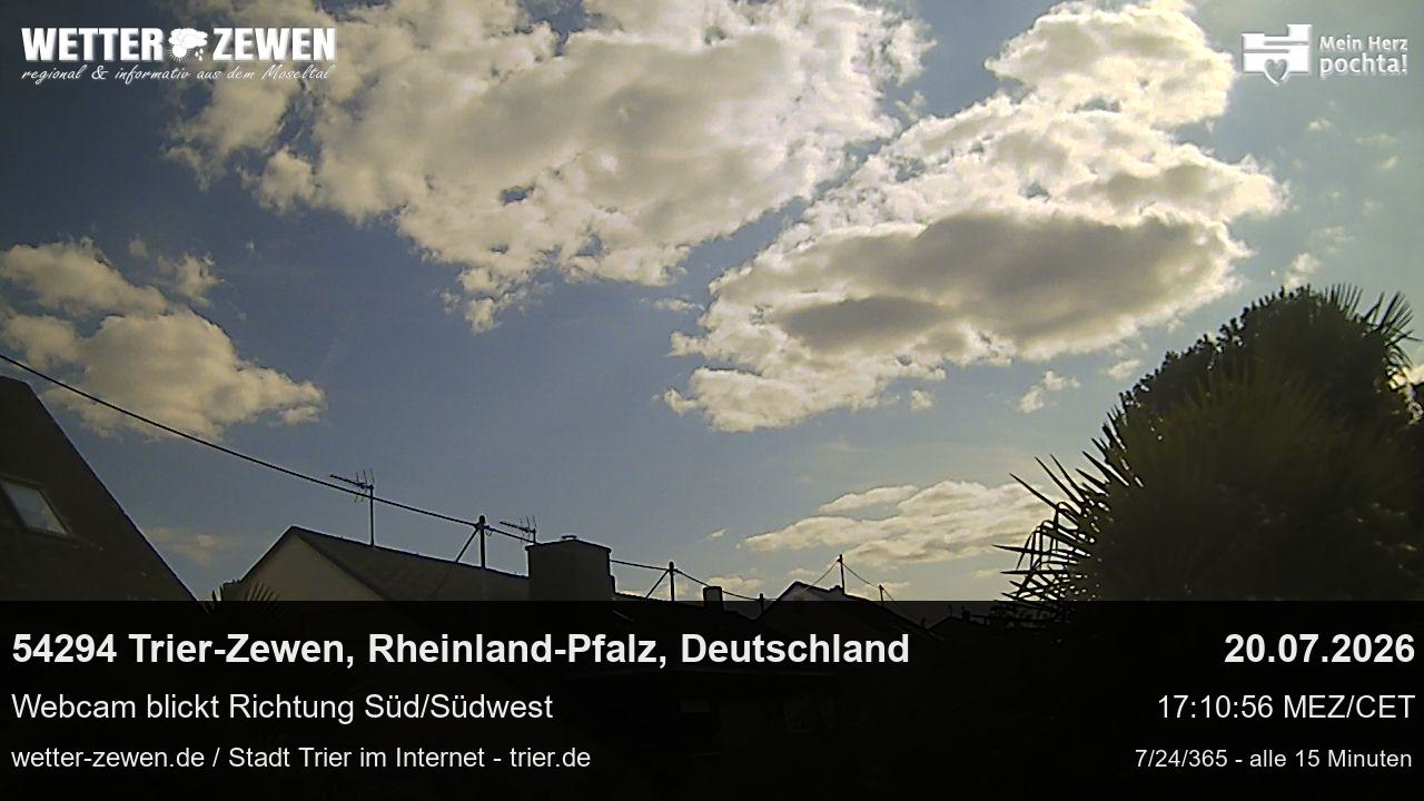 Bild