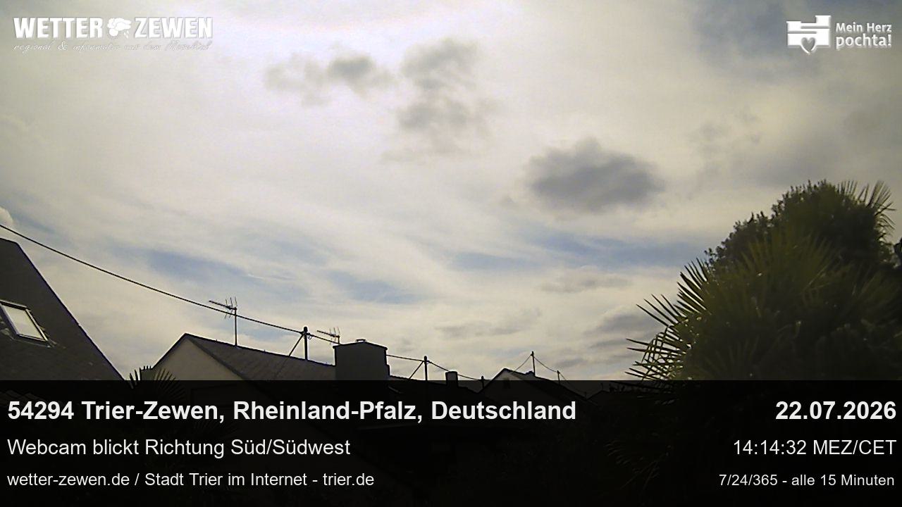 Bild