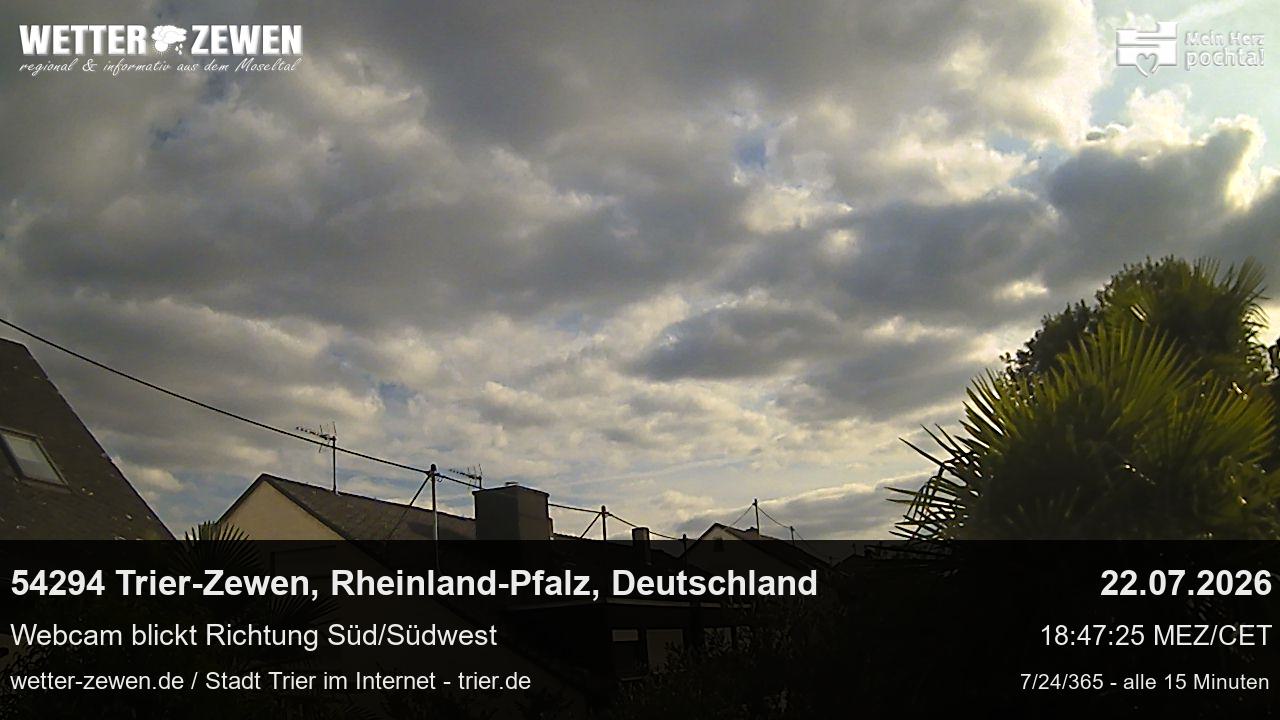 Bild