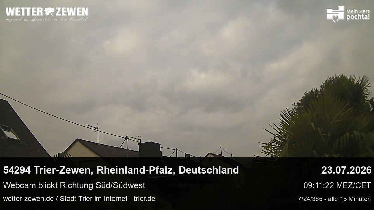 Bild