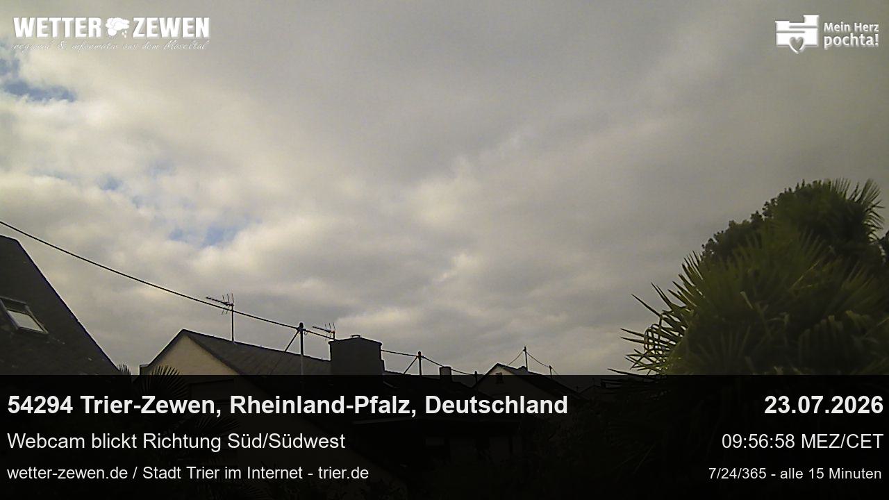 Bild