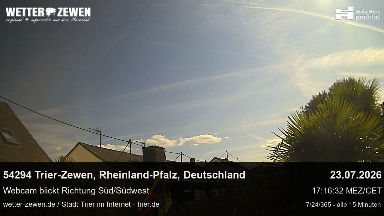 Bild