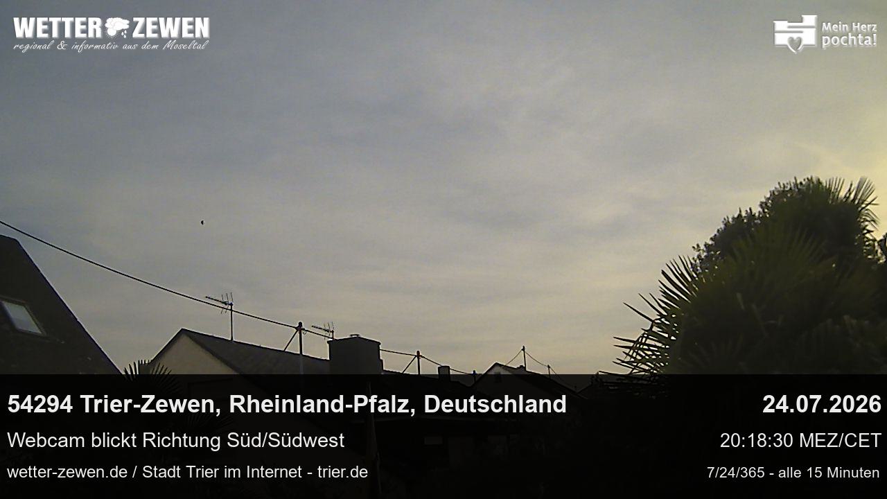 Bild