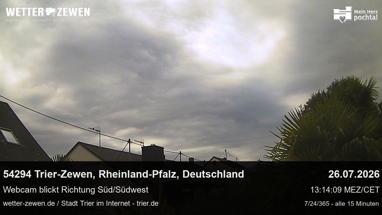 Bild