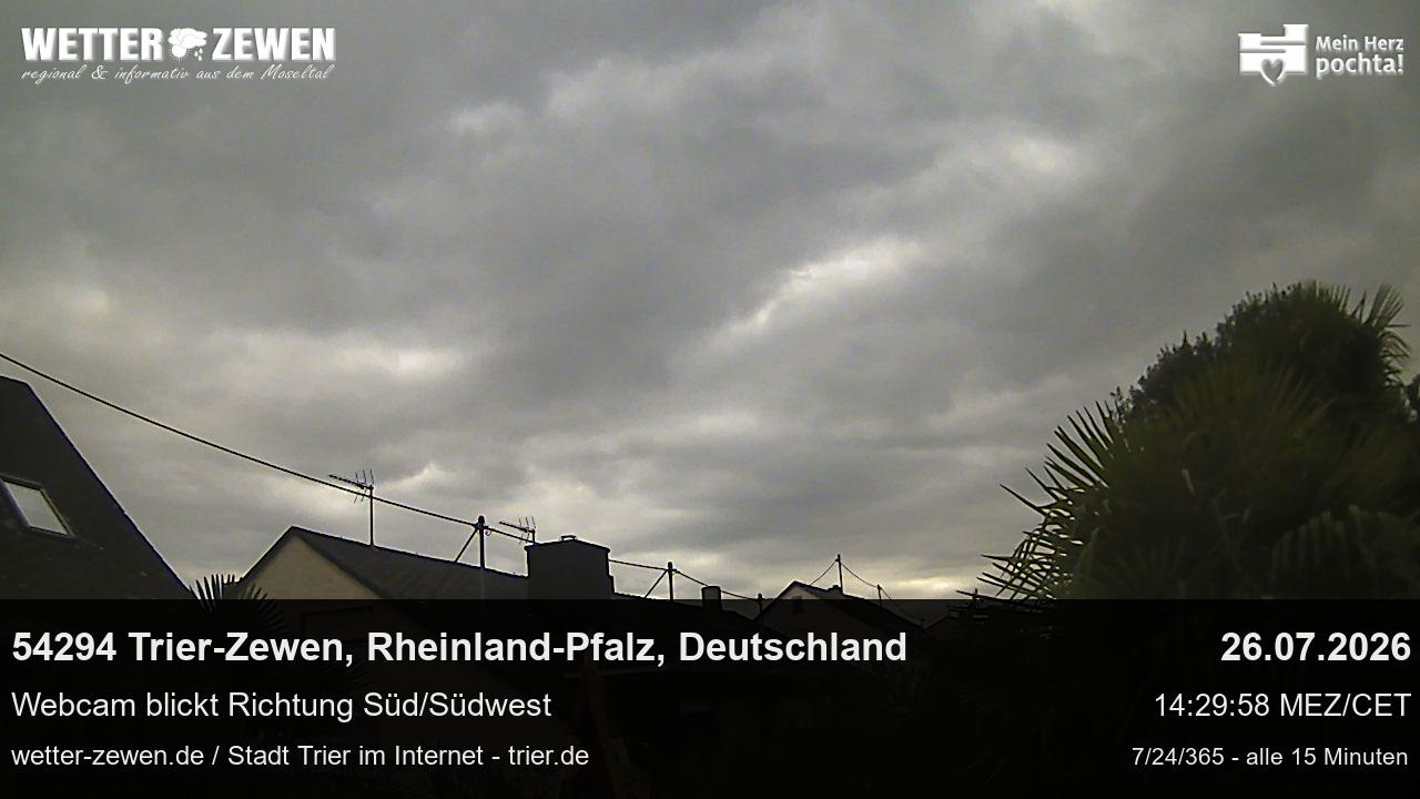 Bild