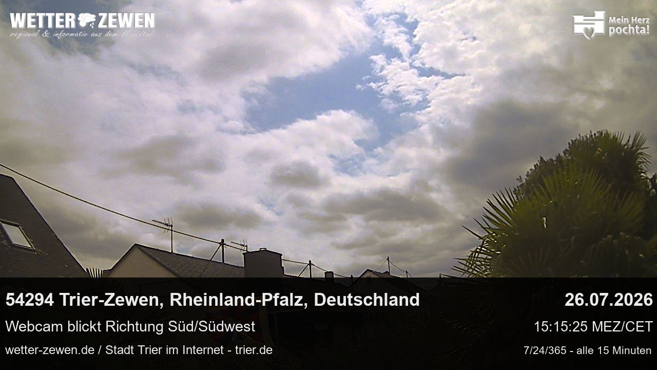 Bild