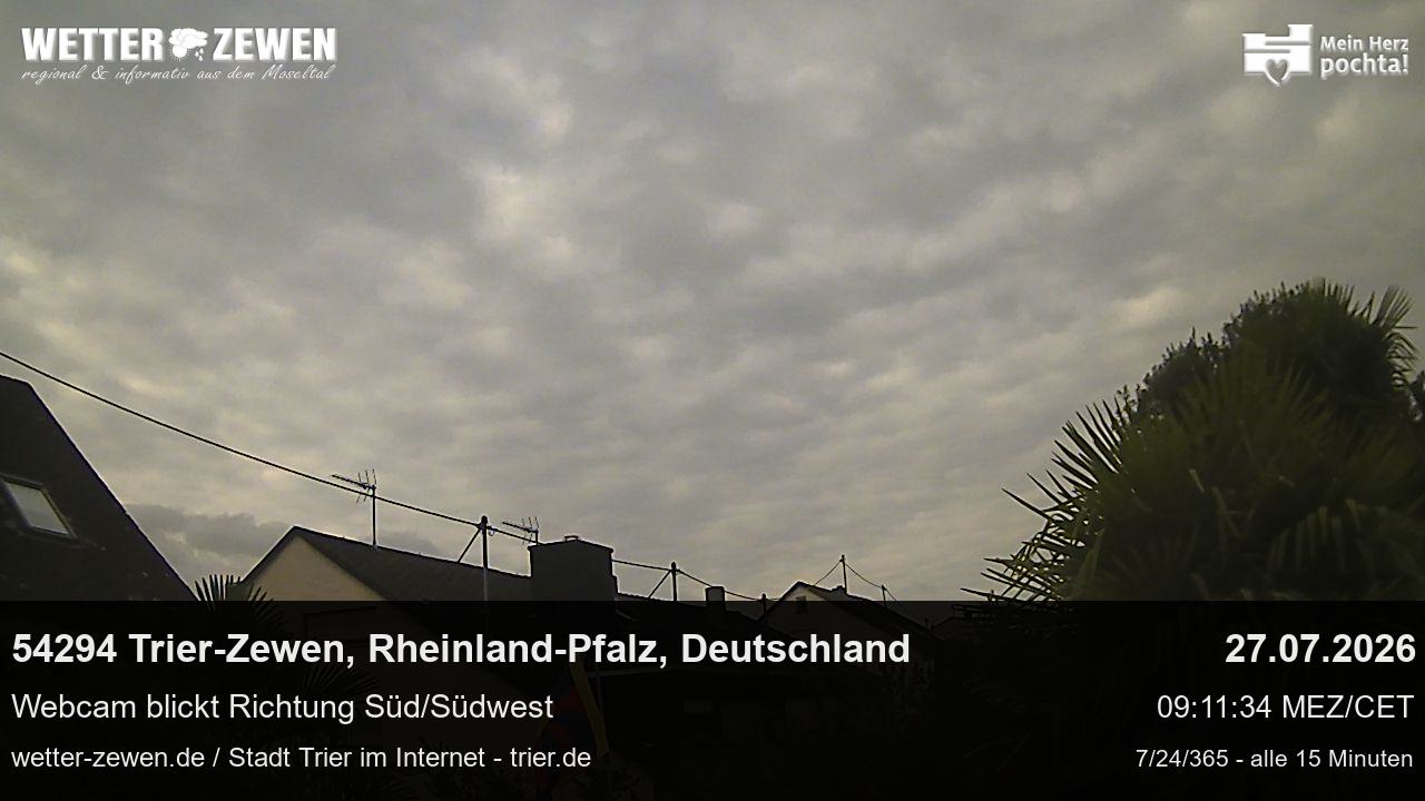 Bild