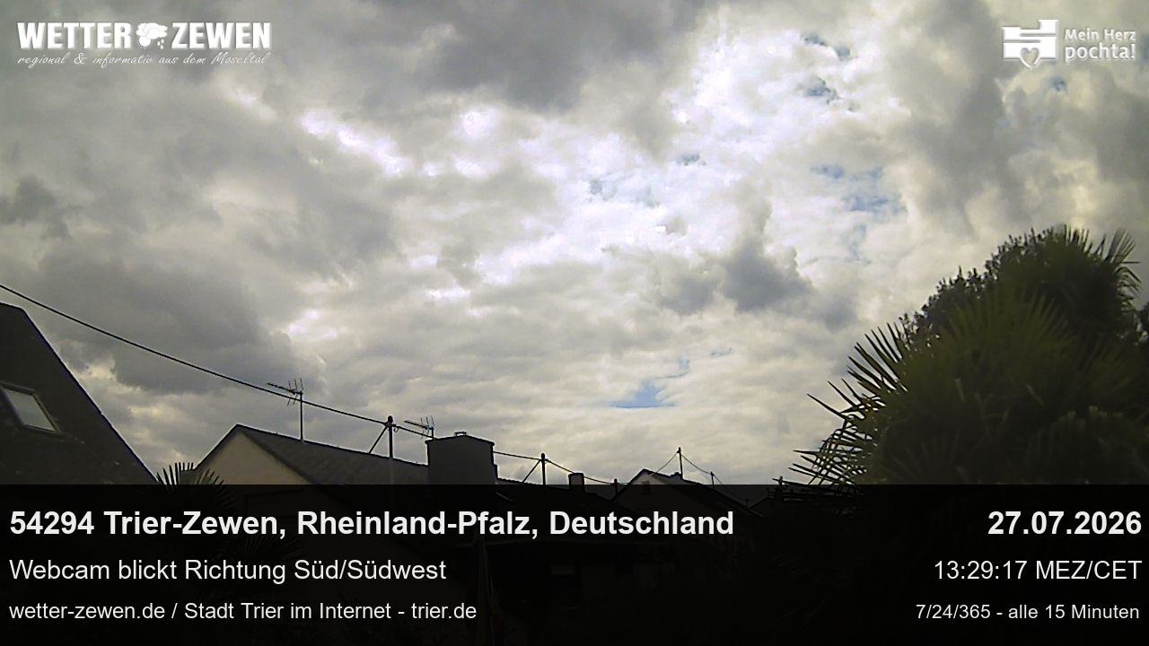 Bild