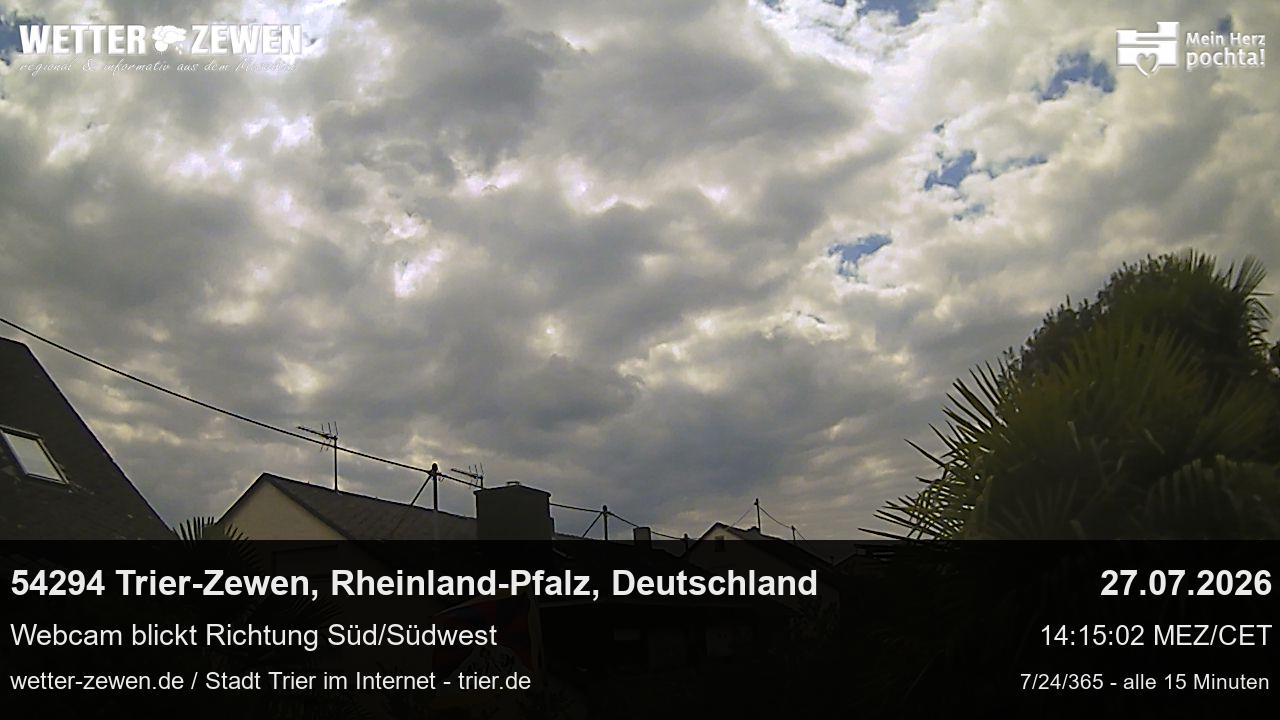 Bild