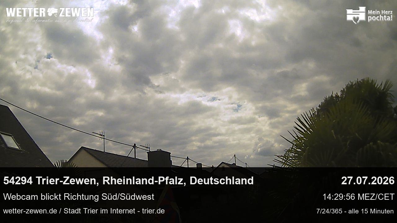 Bild
